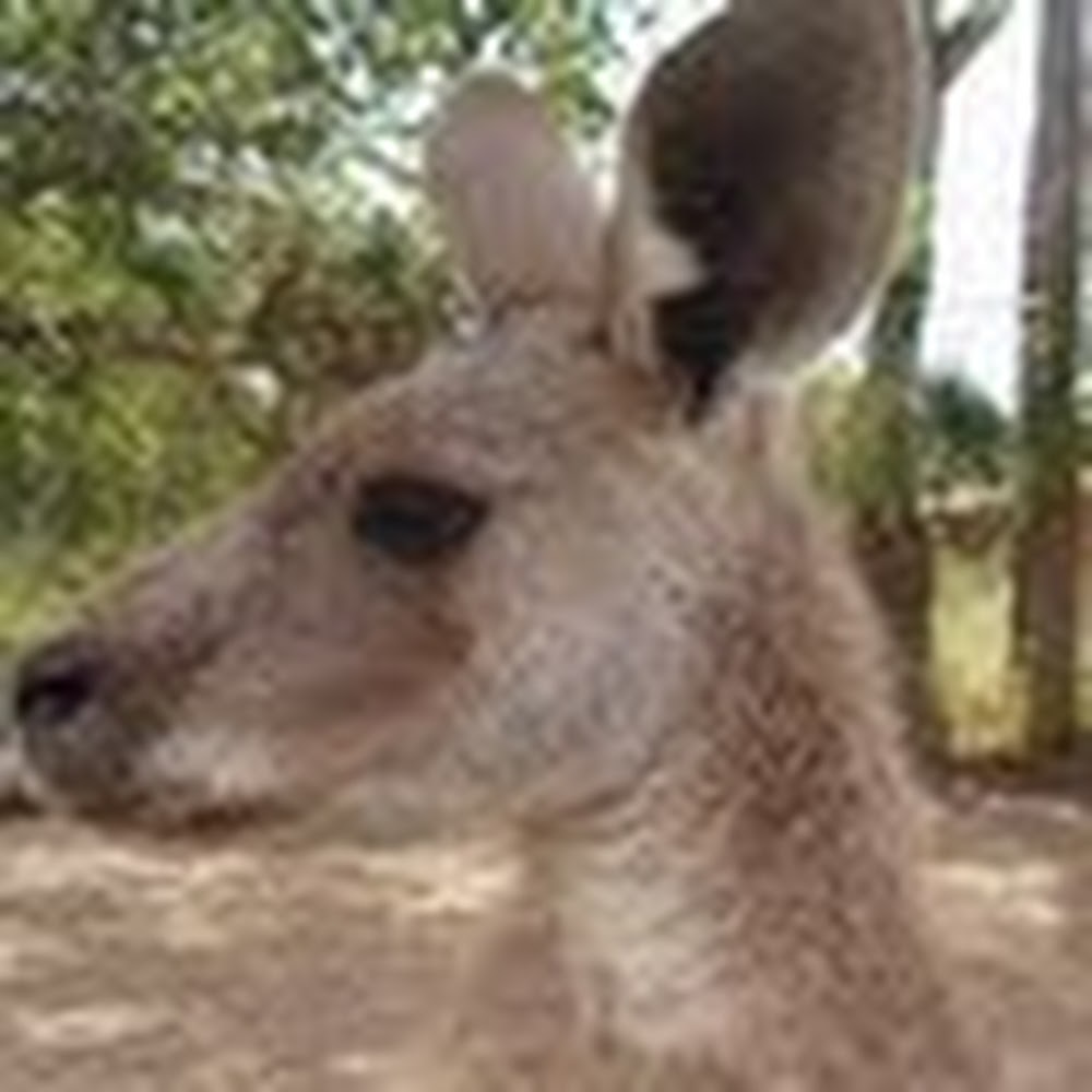 Meet your Posher, Greg